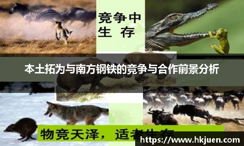 本土拓为与南方钢铁的竞争与合作前景分析